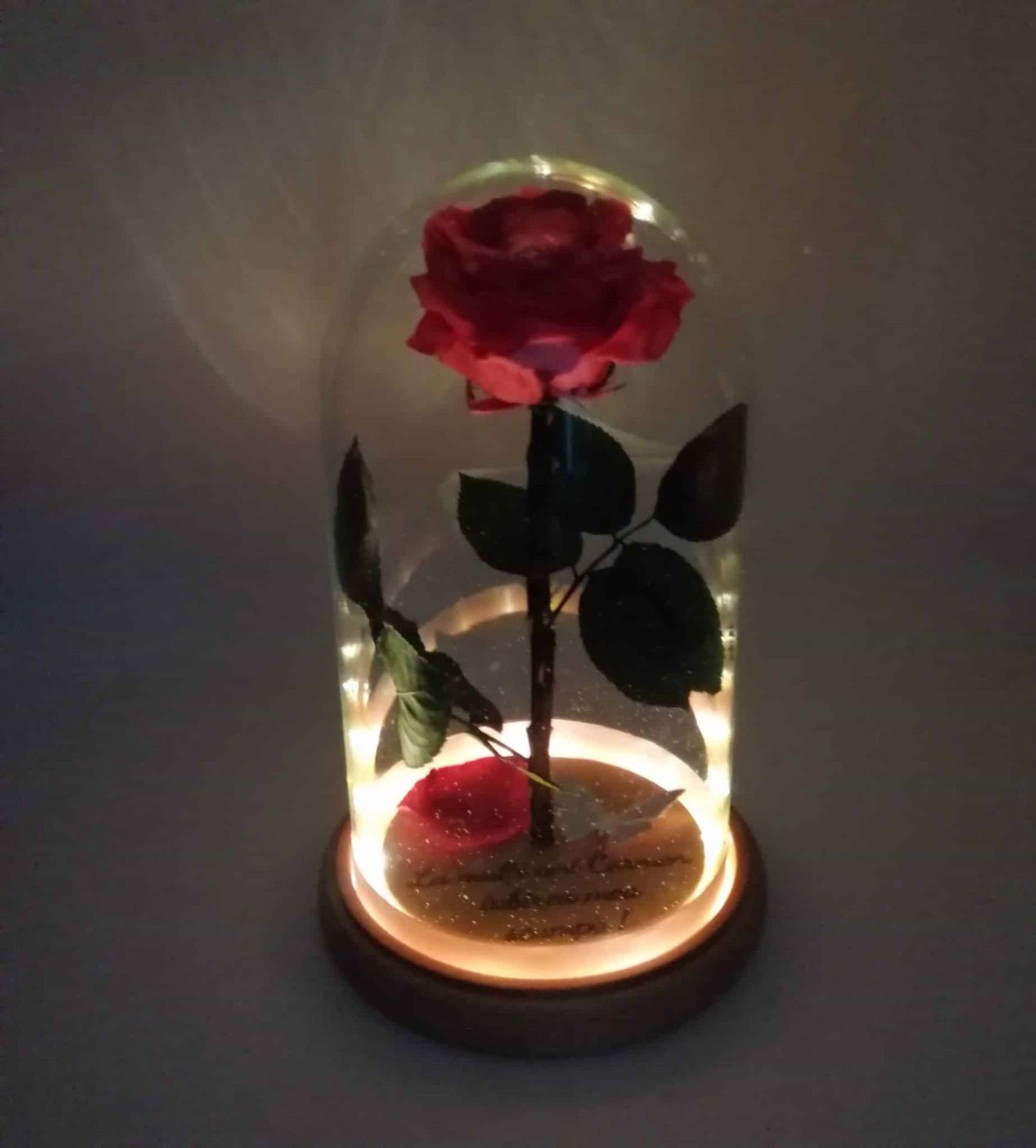 Trandafir criogenat natural cupola sticlă cu natur