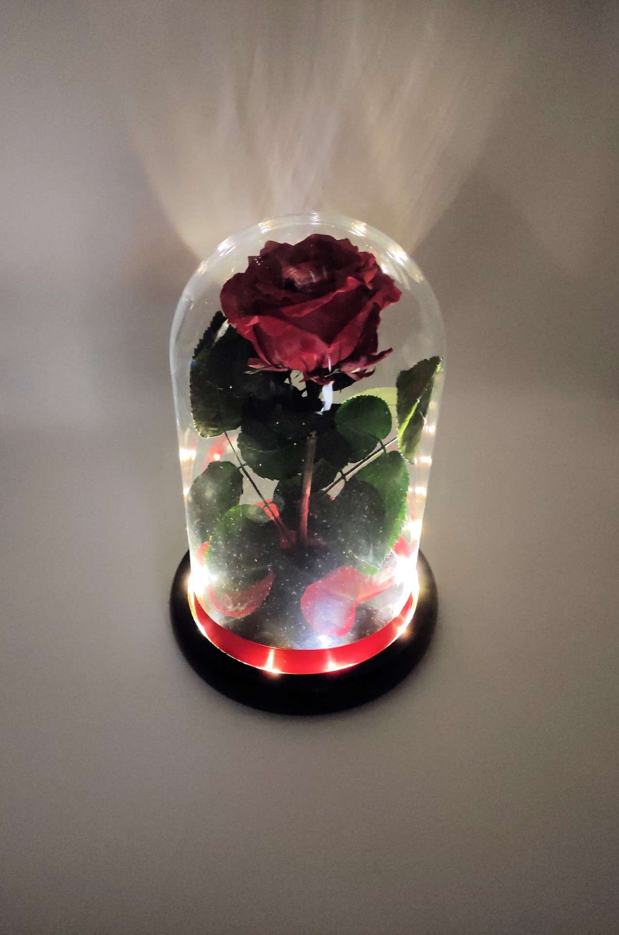 Parcel index finger Remains Trandafir criogenat natural în cupola de sticlă luminata cu baza neagra